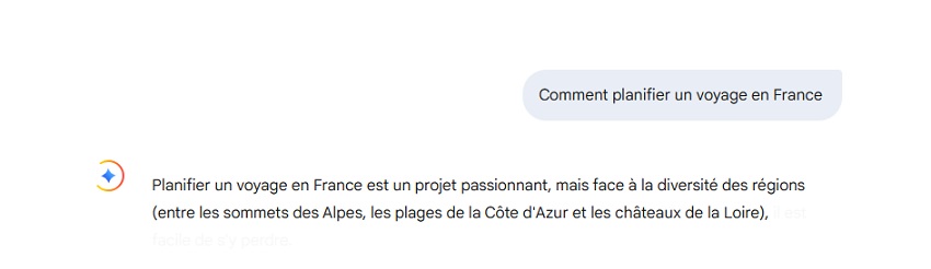 Utilisation de Google Gemini sur PC - étape 3