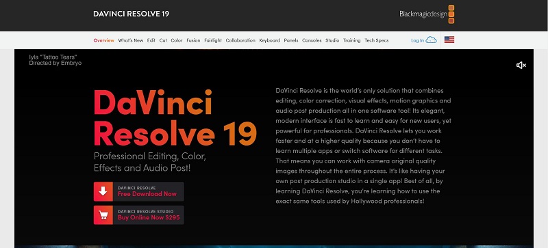 davinci resolve 19