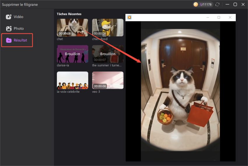 Comment supprimer le filigrane vidéo 5