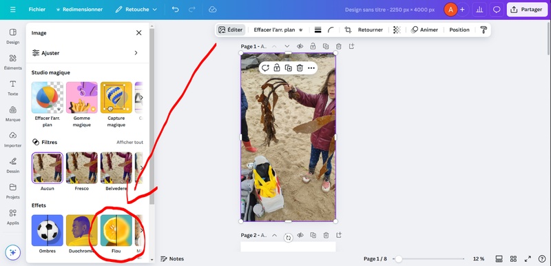 comment flouter un visage sur instagram avec Canva