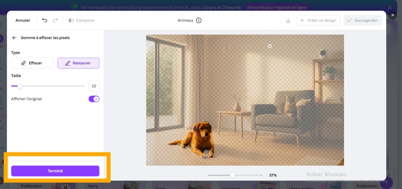 enlever le fond d une image canva