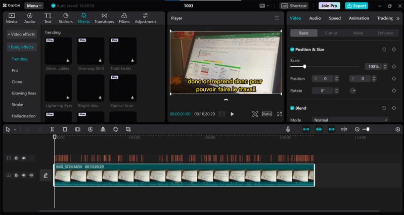 flouter vidéo avec CapCut