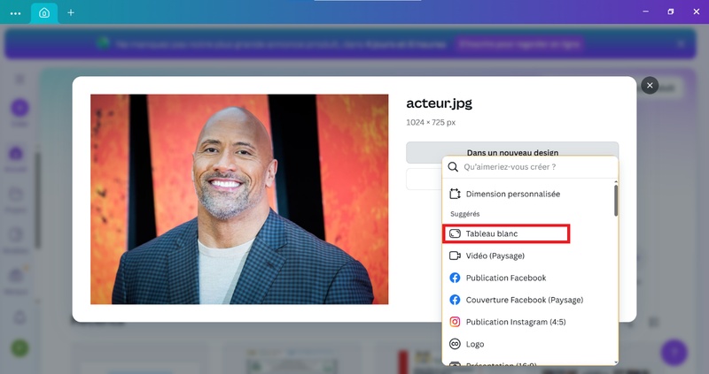 transformer photo en dessin canva