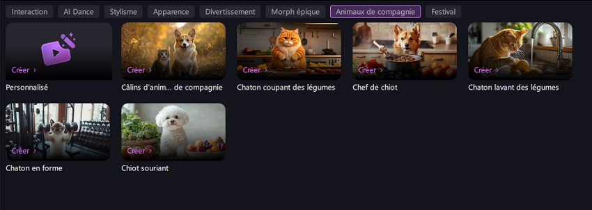 effets d'IA sur les animaux de compagnie