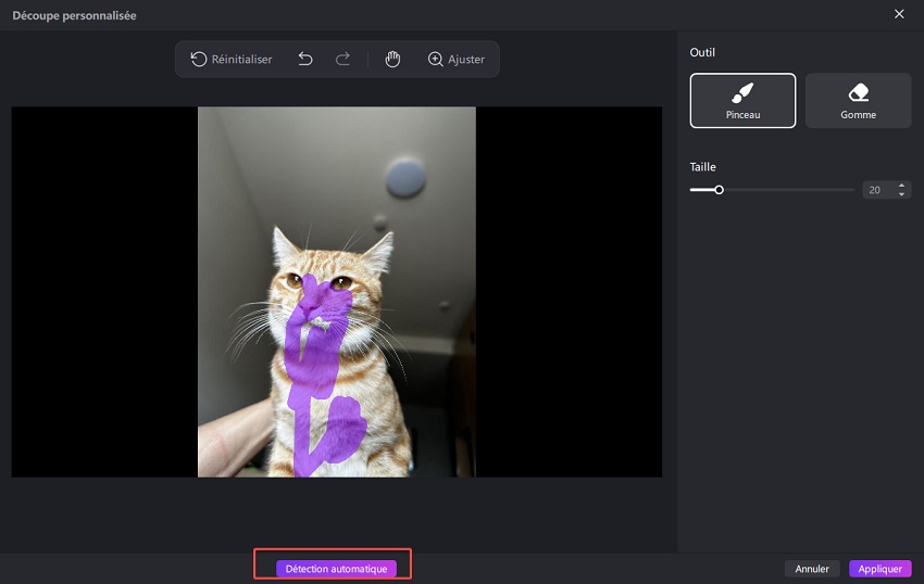 custom cutout auto detect 